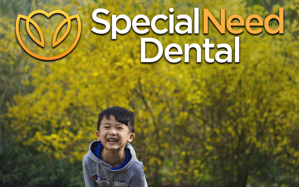 un niño asiático sonriendo en una foto para un artículo sobre discapacitados que van al dentista debajo del logo para Special Need Dental